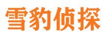 隆德寻人公司